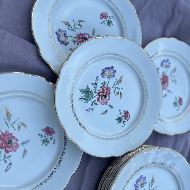 Série de 12 assiettes plates Luneville KG