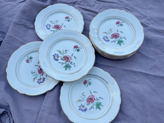 Série de 12 assiettes plates Luneville KG