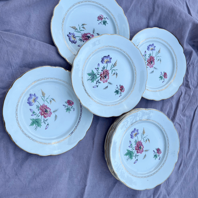 Série de 12 assiettes plates Luneville KG
